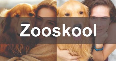 зооскул|ZooSkool Videos